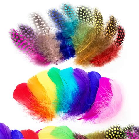 Wild Rainbow Feathers Betsson